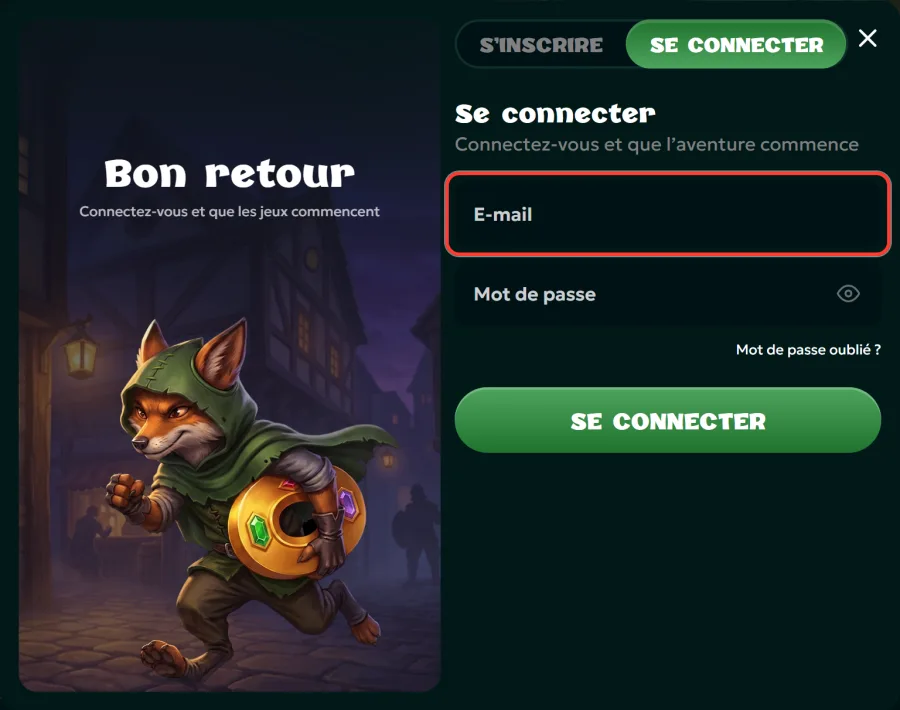 Champ E-mail encadré dans la fenêtre de connexion