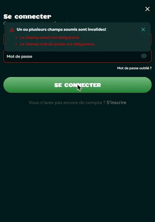 Message d'erreur quand les champs e-mail et mot de passe sont vides