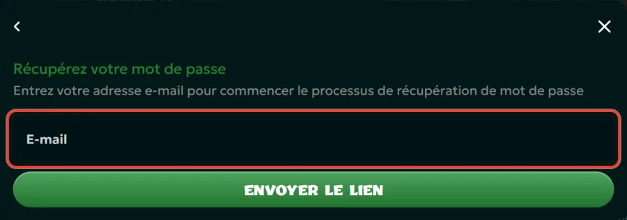Champ e-mail de la fenêtre Récupérez votre mot de passe