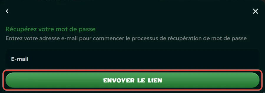 Bouton Envoyer le lien pour réinitialiser le mot de passe