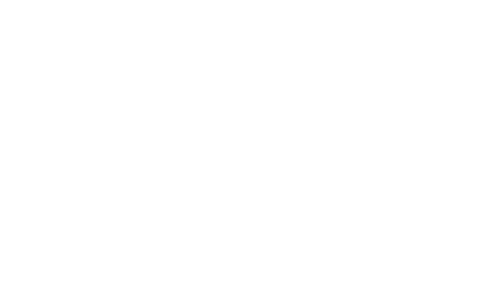 Logo Visa