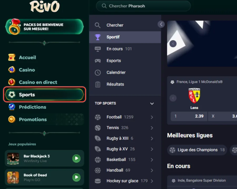 Rubrique Sports encadrée dans le menu latéral du site